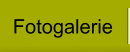 Fotogalerie