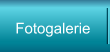 Fotogalerie